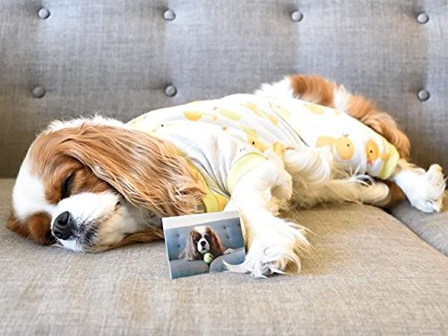 Polaroid Zink Photo Paper - Image 4